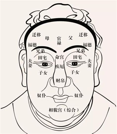 下庭飽滿|面相學裡的「三庭」究竟怎麼回事？